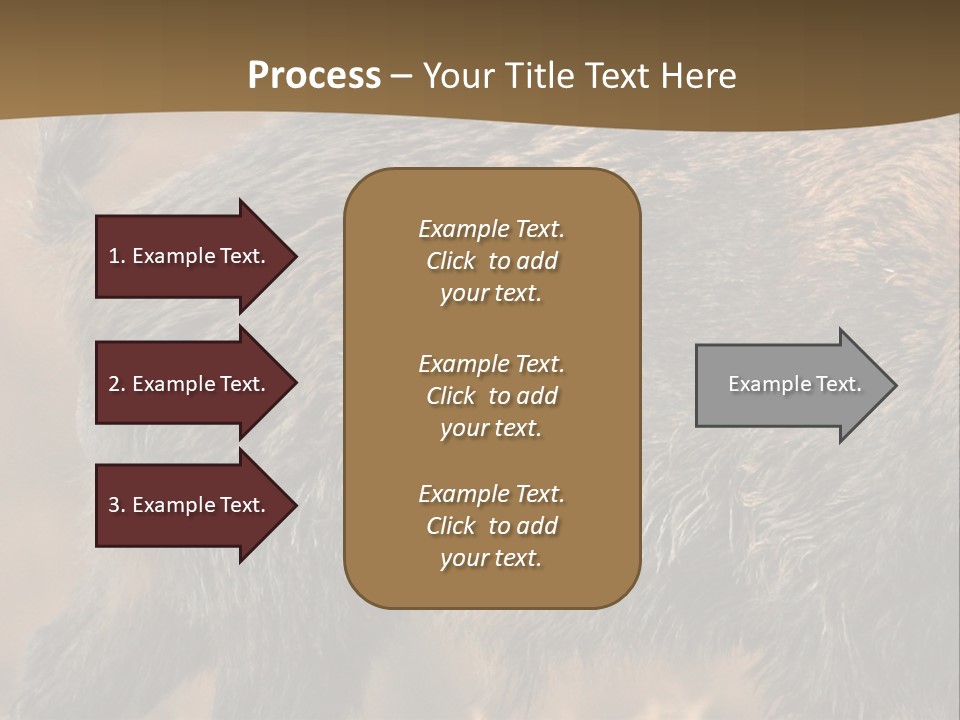 A Brown Bear Walking Across A Dry Grass Covered Field PowerPoint Template