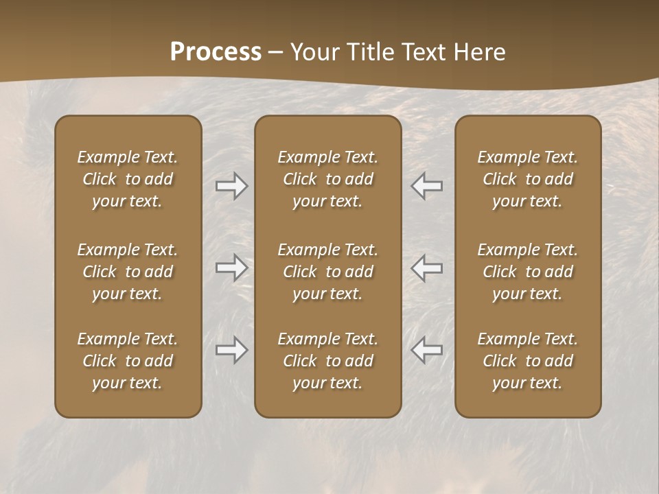 A Brown Bear Walking Across A Dry Grass Covered Field PowerPoint Template