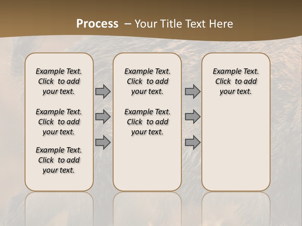 A Brown Bear Walking Across A Dry Grass Covered Field PowerPoint Template
