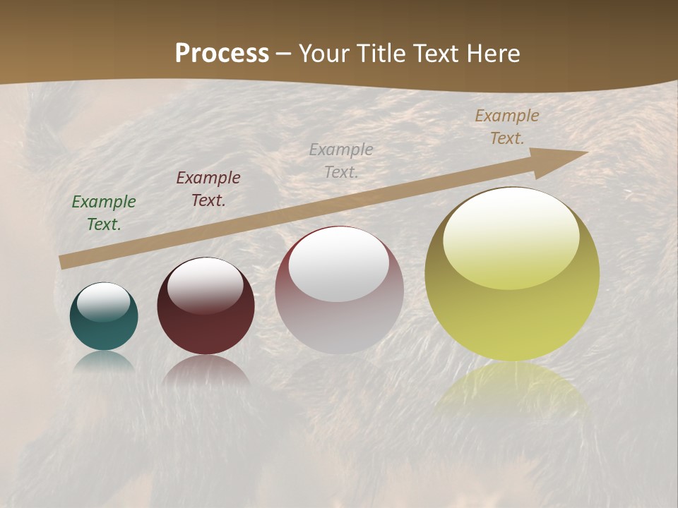 A Brown Bear Walking Across A Dry Grass Covered Field PowerPoint Template