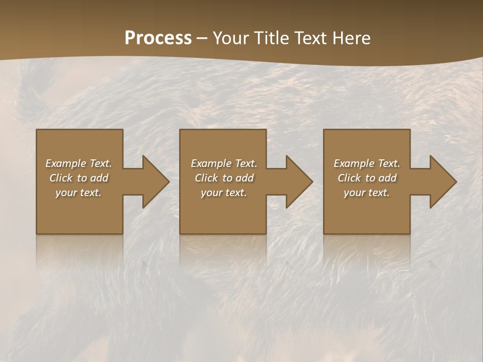 A Brown Bear Walking Across A Dry Grass Covered Field PowerPoint Template