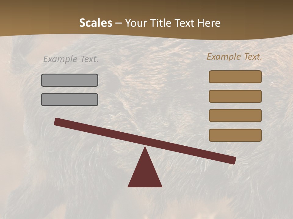 A Brown Bear Walking Across A Dry Grass Covered Field PowerPoint Template