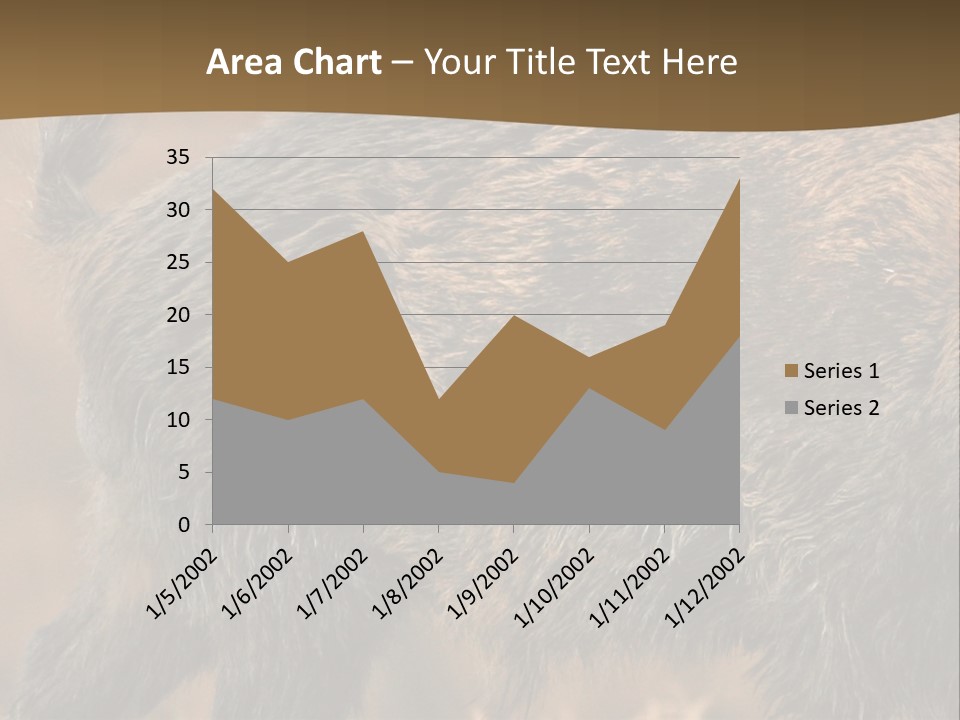 A Brown Bear Walking Across A Dry Grass Covered Field PowerPoint Template
