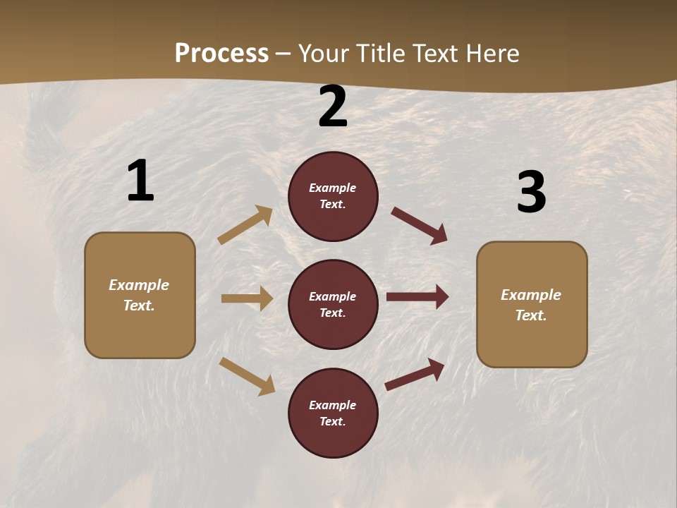A Brown Bear Walking Across A Dry Grass Covered Field PowerPoint Template