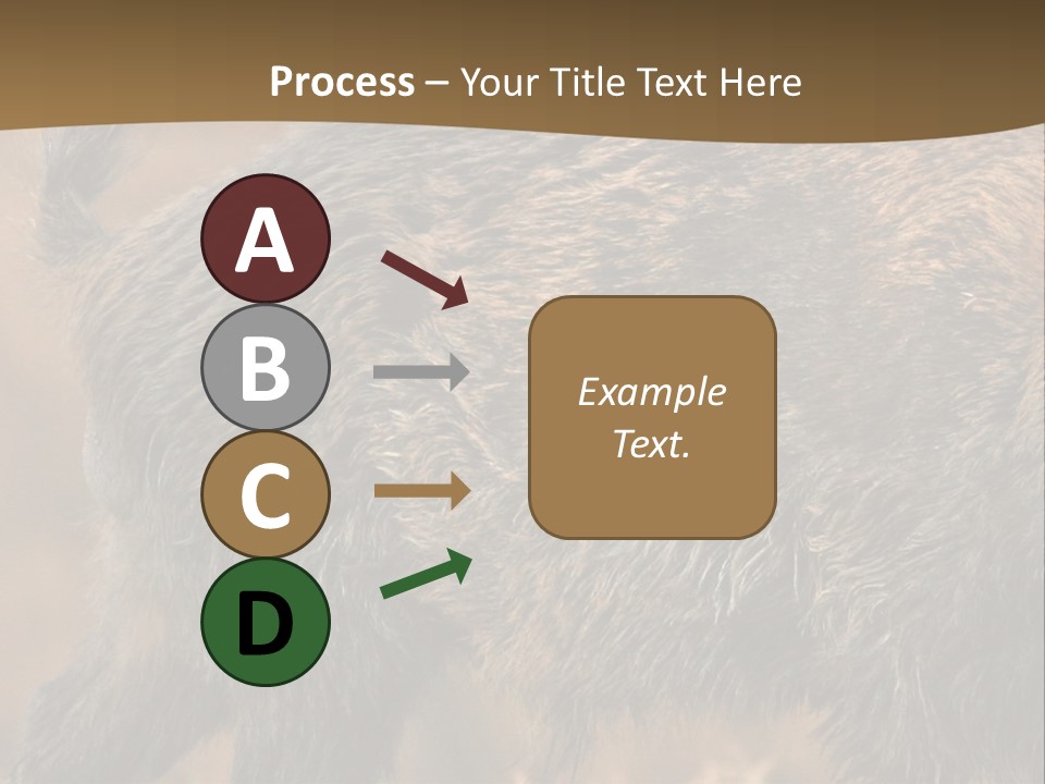 A Brown Bear Walking Across A Dry Grass Covered Field PowerPoint Template