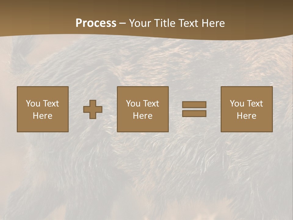 A Brown Bear Walking Across A Dry Grass Covered Field PowerPoint Template