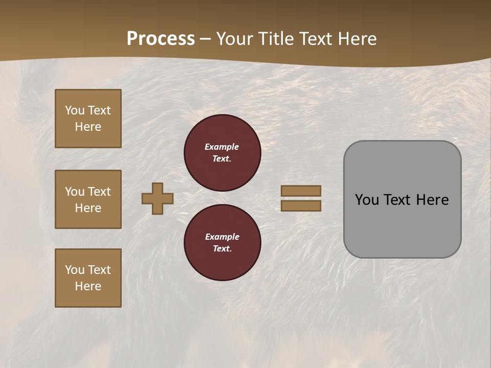 A Brown Bear Walking Across A Dry Grass Covered Field PowerPoint Template