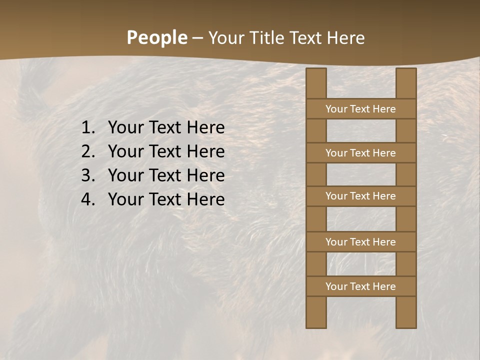 A Brown Bear Walking Across A Dry Grass Covered Field PowerPoint Template