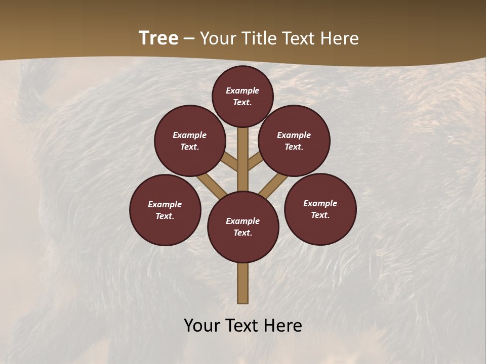 A Brown Bear Walking Across A Dry Grass Covered Field PowerPoint Template