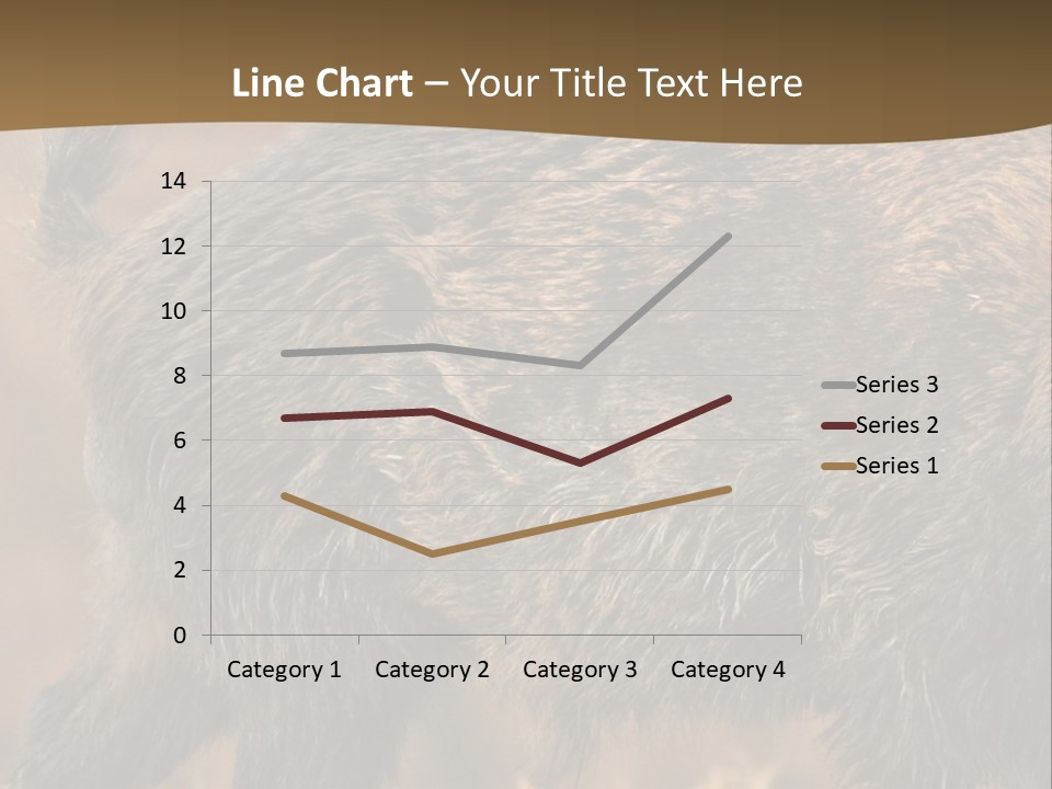 A Brown Bear Walking Across A Dry Grass Covered Field PowerPoint Template
