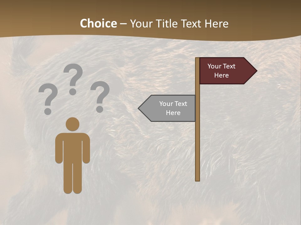 A Brown Bear Walking Across A Dry Grass Covered Field PowerPoint Template