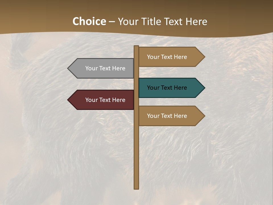 A Brown Bear Walking Across A Dry Grass Covered Field PowerPoint Template