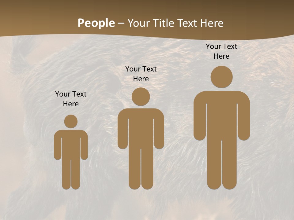 A Brown Bear Walking Across A Dry Grass Covered Field PowerPoint Template