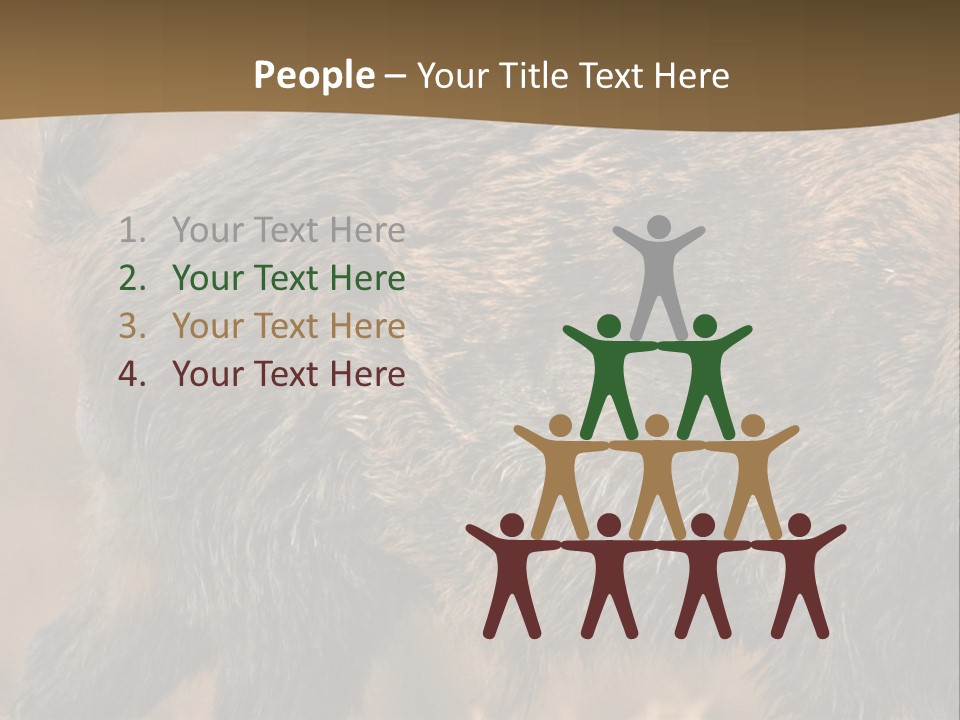 A Brown Bear Walking Across A Dry Grass Covered Field PowerPoint Template