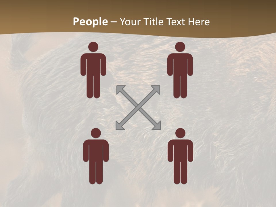 A Brown Bear Walking Across A Dry Grass Covered Field PowerPoint Template