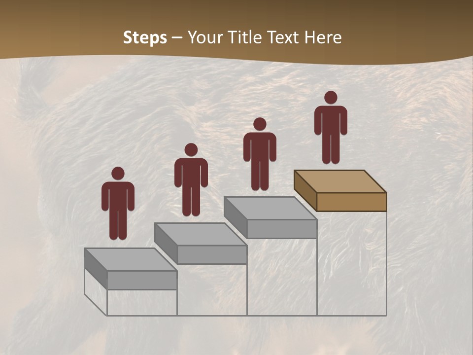 A Brown Bear Walking Across A Dry Grass Covered Field PowerPoint Template