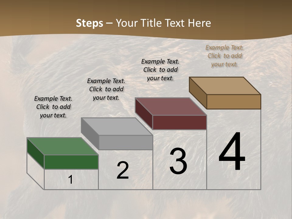 A Brown Bear Walking Across A Dry Grass Covered Field PowerPoint Template