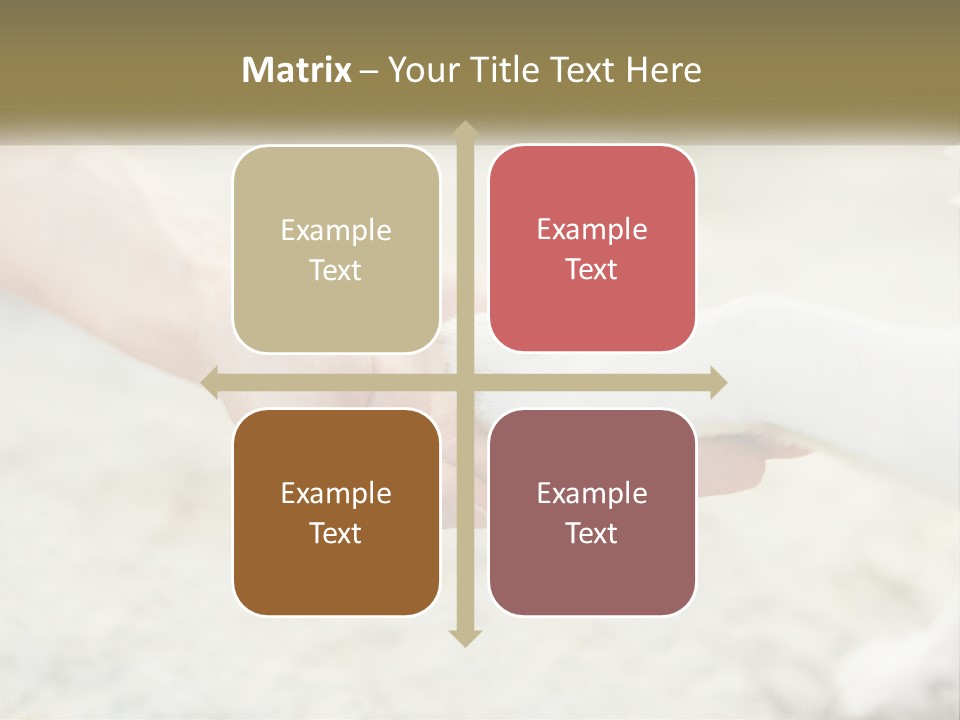 A Person Holding A Dog's Paw In Their Hand PowerPoint Template