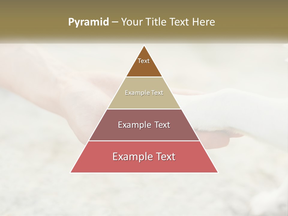 A Person Holding A Dog's Paw In Their Hand PowerPoint Template