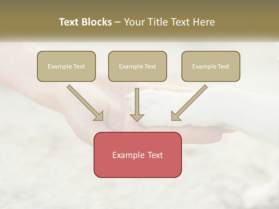 A Person Holding A Dog's Paw In Their Hand PowerPoint Template