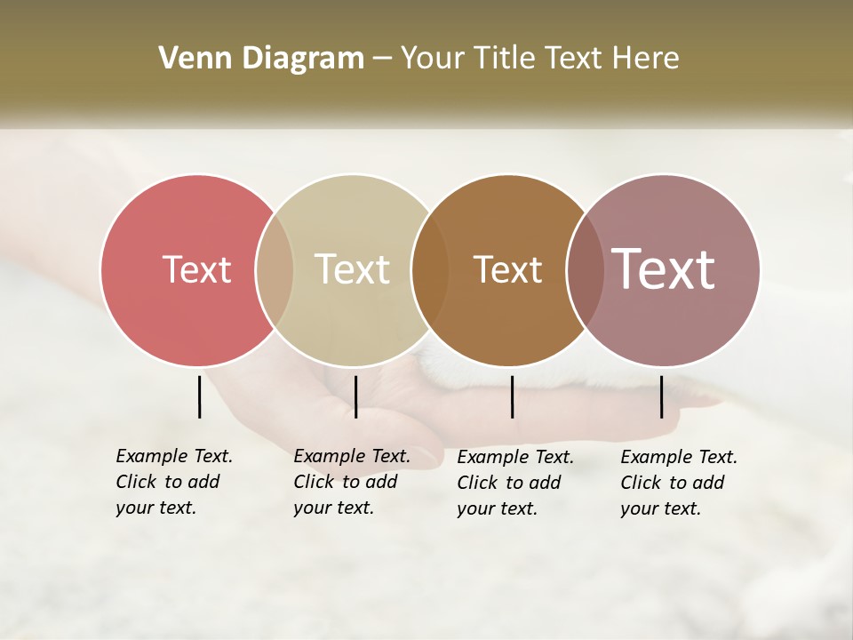 A Person Holding A Dog's Paw In Their Hand PowerPoint Template