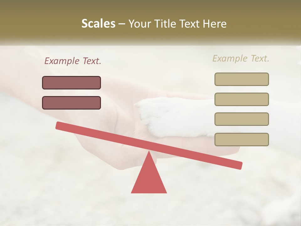 A Person Holding A Dog's Paw In Their Hand PowerPoint Template