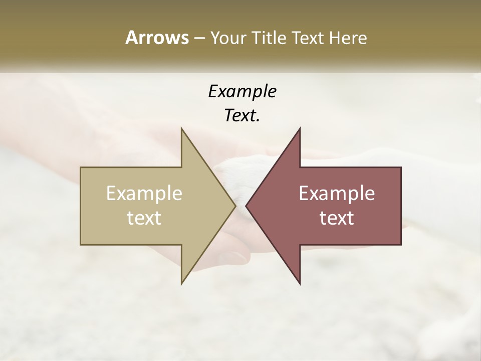 A Person Holding A Dog's Paw In Their Hand PowerPoint Template