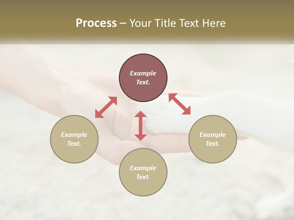 A Person Holding A Dog's Paw In Their Hand PowerPoint Template