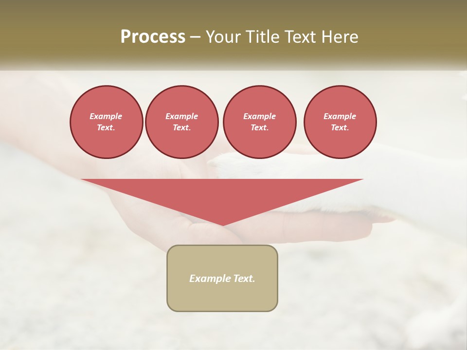 A Person Holding A Dog's Paw In Their Hand PowerPoint Template