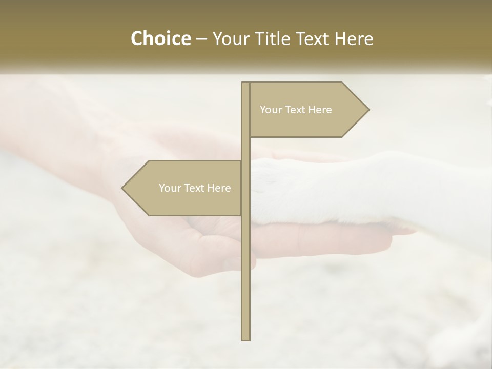 A Person Holding A Dog's Paw In Their Hand PowerPoint Template