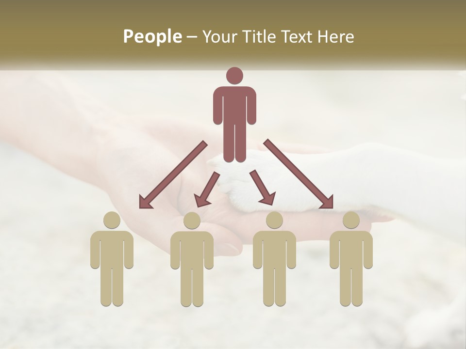 A Person Holding A Dog's Paw In Their Hand PowerPoint Template