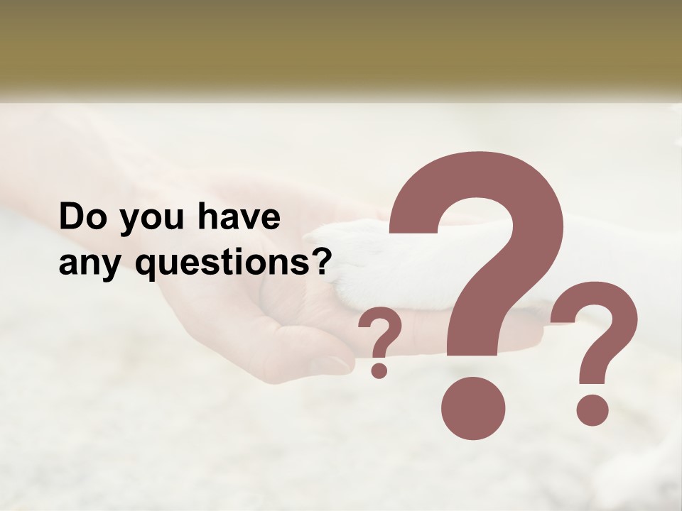 A Person Holding A Dog's Paw In Their Hand PowerPoint Template