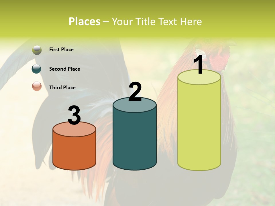 A Rooster Is Standing In The Grass PowerPoint Template