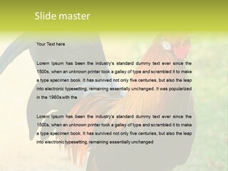 A Rooster Is Standing In The Grass PowerPoint Template