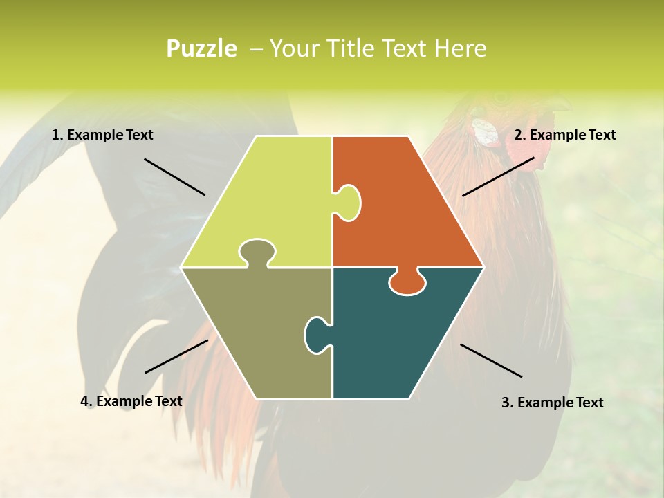 A Rooster Is Standing In The Grass PowerPoint Template