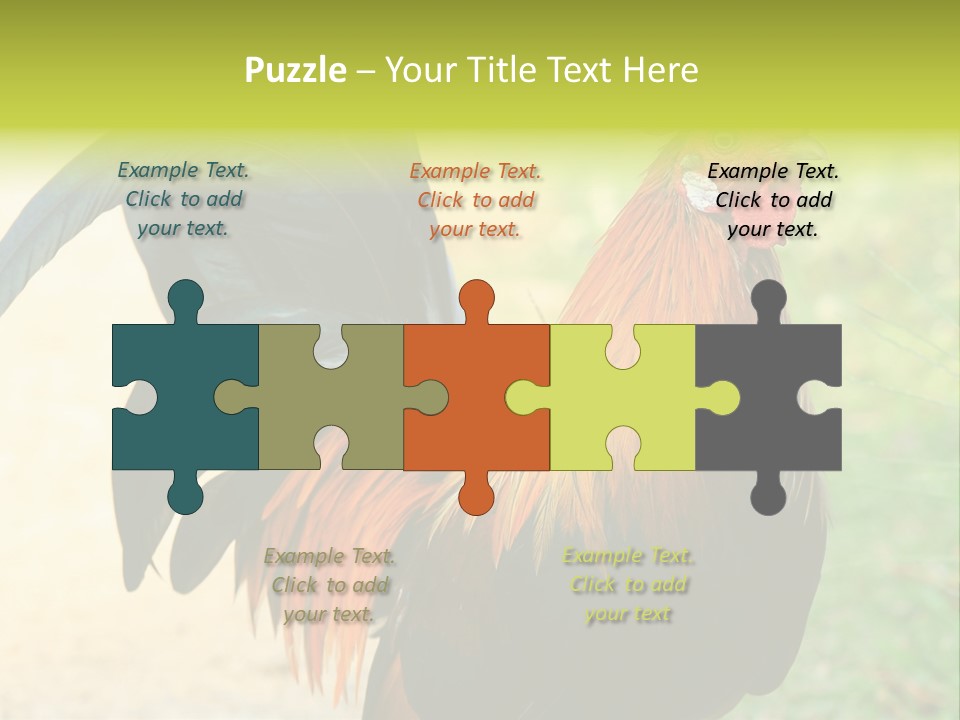 A Rooster Is Standing In The Grass PowerPoint Template