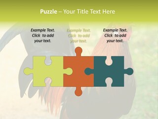 A Rooster Is Standing In The Grass PowerPoint Template