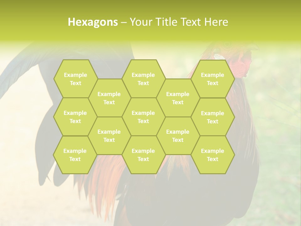 A Rooster Is Standing In The Grass PowerPoint Template