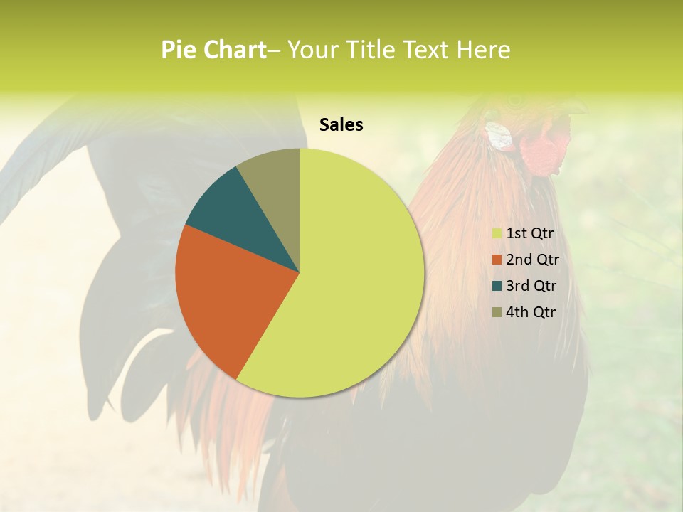 A Rooster Is Standing In The Grass PowerPoint Template