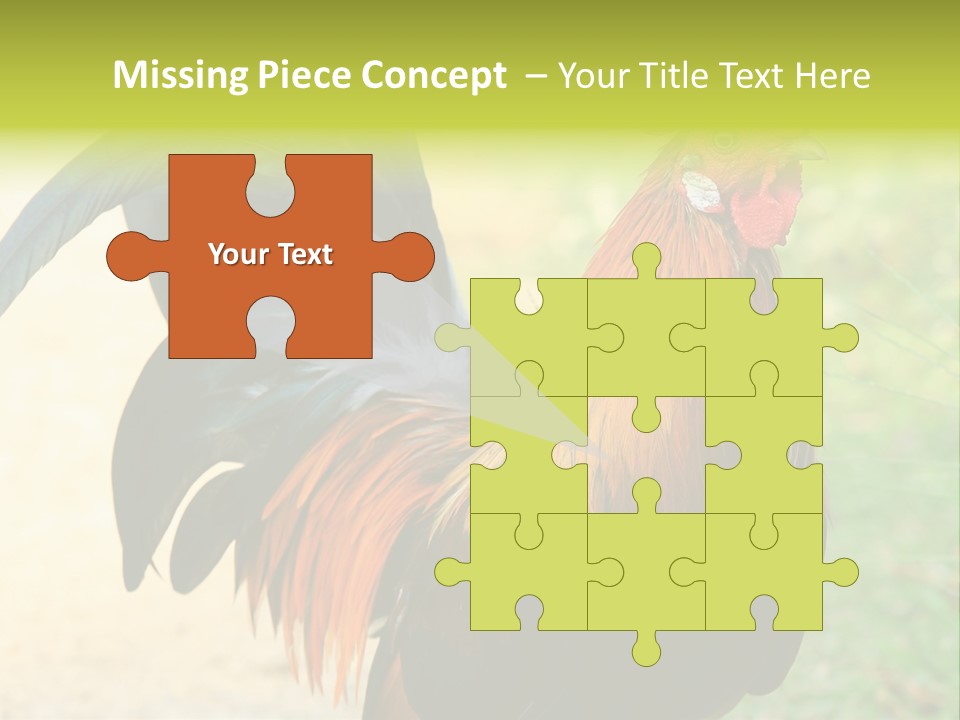 A Rooster Is Standing In The Grass PowerPoint Template