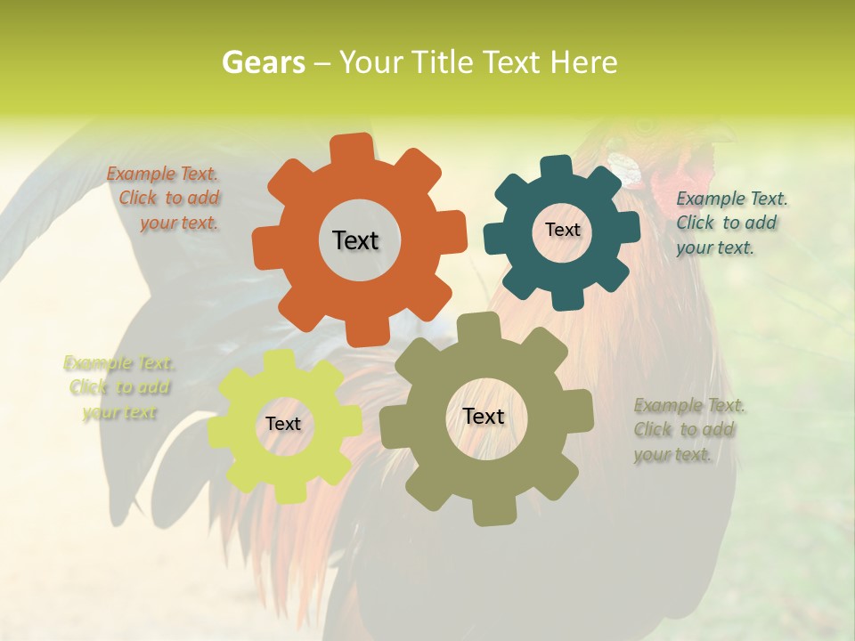 A Rooster Is Standing In The Grass PowerPoint Template