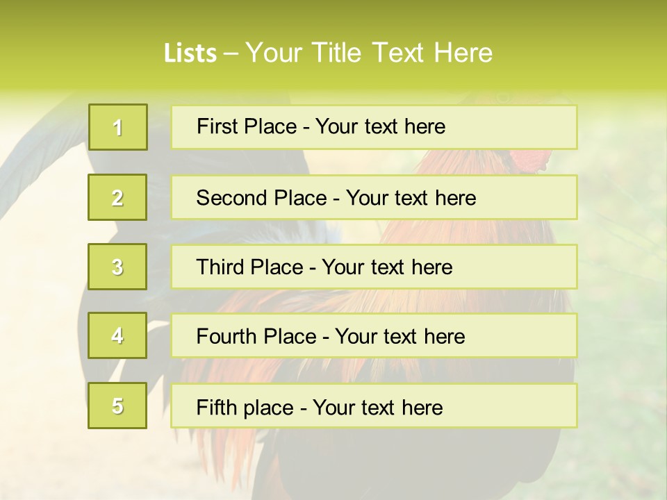 A Rooster Is Standing In The Grass PowerPoint Template