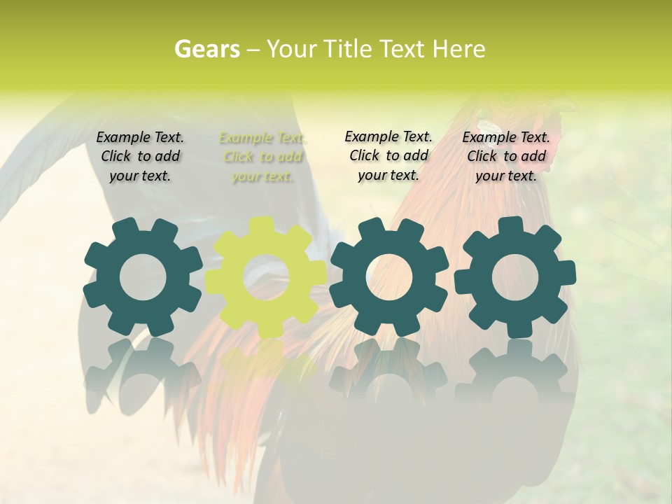 A Rooster Is Standing In The Grass PowerPoint Template