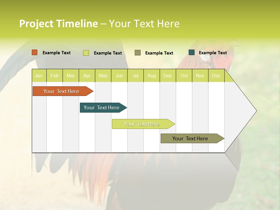 A Rooster Is Standing In The Grass PowerPoint Template