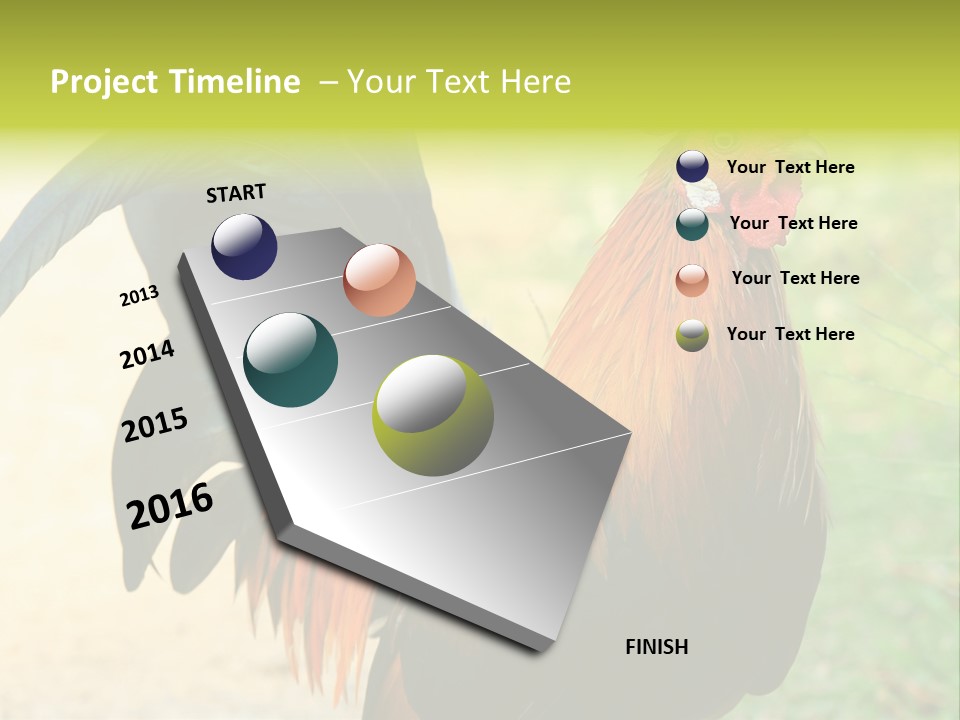 A Rooster Is Standing In The Grass PowerPoint Template