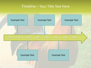 A Rooster Is Standing In The Grass PowerPoint Template