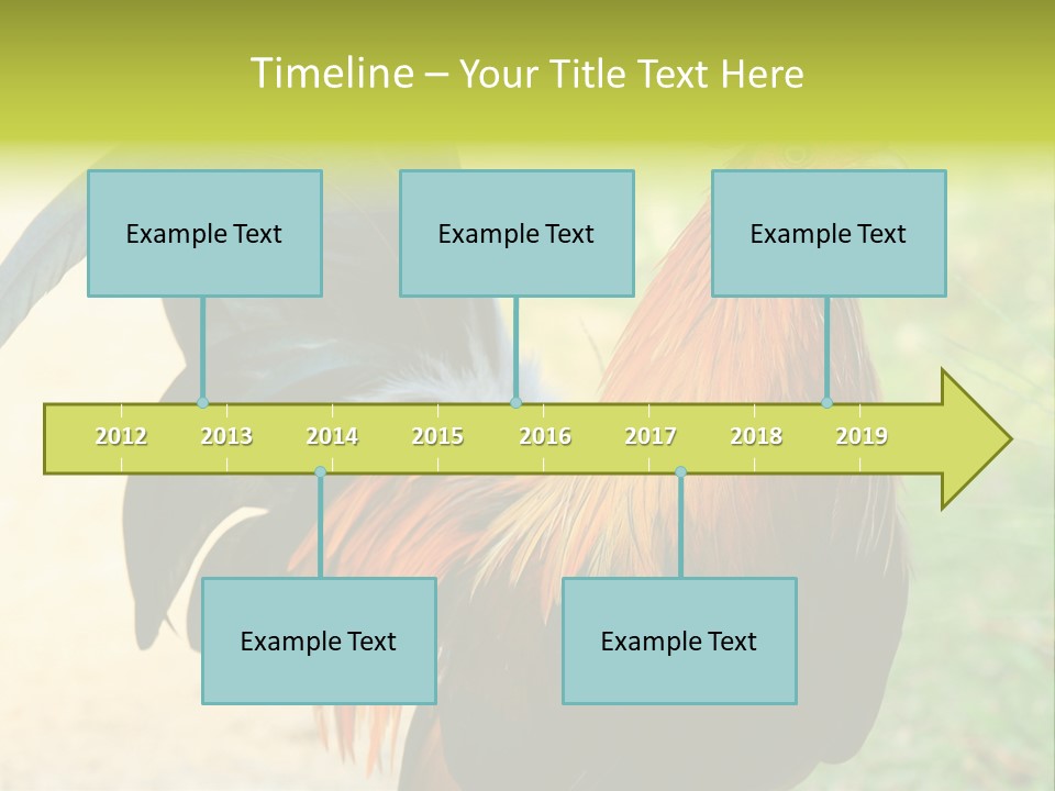 A Rooster Is Standing In The Grass PowerPoint Template