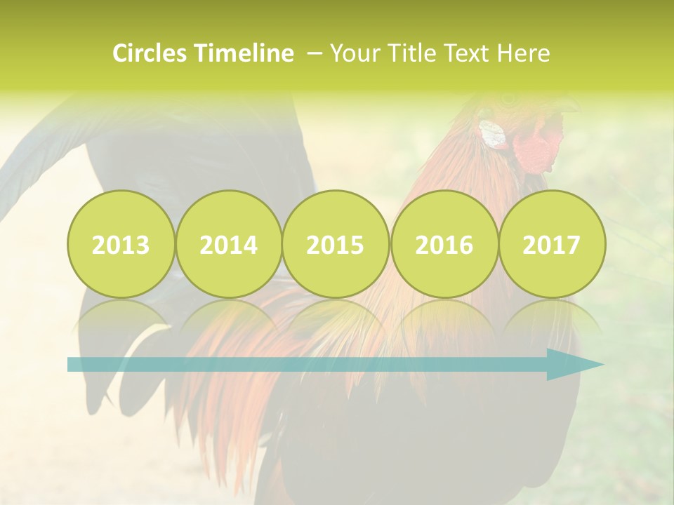 A Rooster Is Standing In The Grass PowerPoint Template