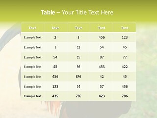 A Rooster Is Standing In The Grass PowerPoint Template