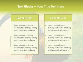 A Rooster Is Standing In The Grass PowerPoint Template
